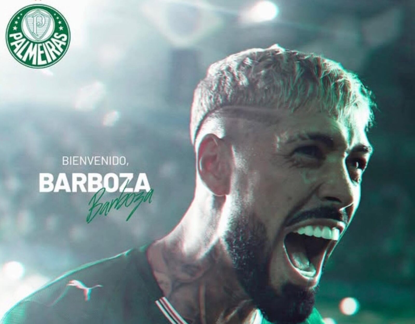 Zagueiro argentino Alexander Barboza (ex-Botafogo), assina com o Palmeiras!