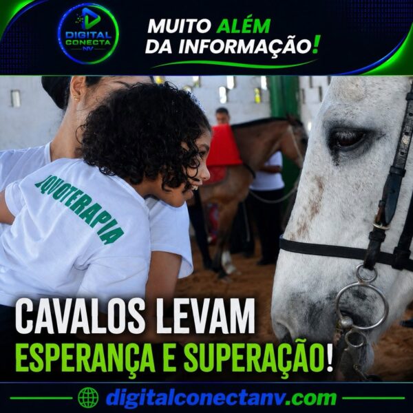 Como cavalos estão transformando a vida de crianças e adultos no ES!